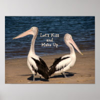 Pelicanos "Vamos Kiss and Make Up" na praia