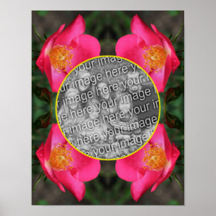 Poster Películas Rosa Rosa Rosa Rosa Rosa Rosa Rosa Rosa