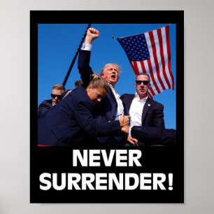 Poster Pelo Presidente Trump3