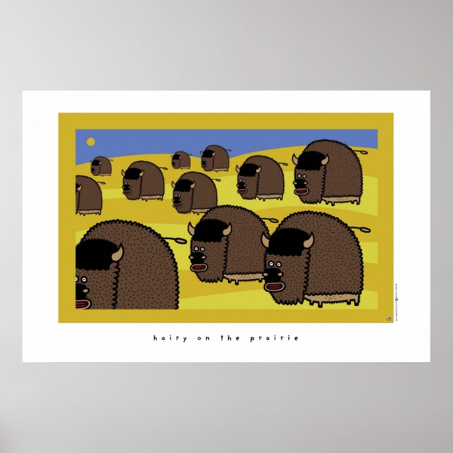 Pôster peluda na pradaria (Frente)