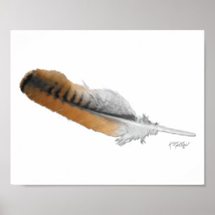 Poster pena de Falcão-de-cauda-vermelha