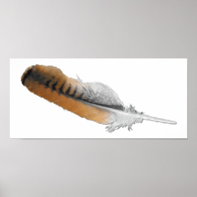 Pôster Pena Hawk de cauda vermelha (Frente)