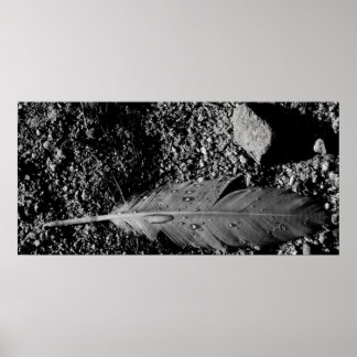 Pôster Pena molhada