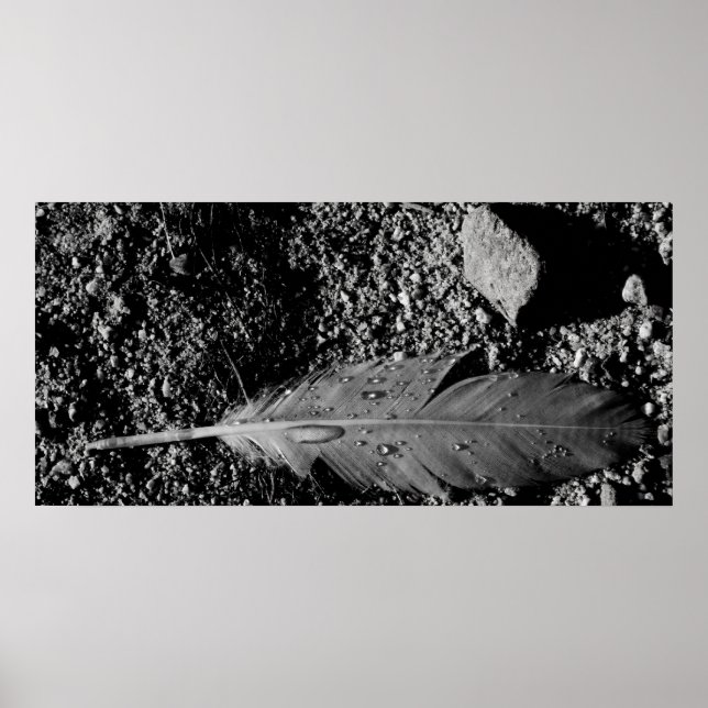 Pôster Pena molhada (Frente)