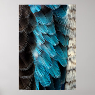 Poster Pena negra e azul