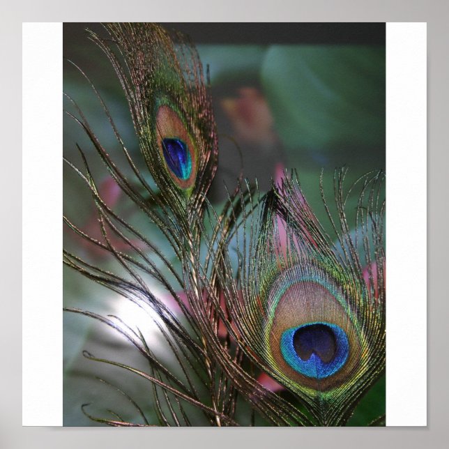 Poster Penas (Frente)