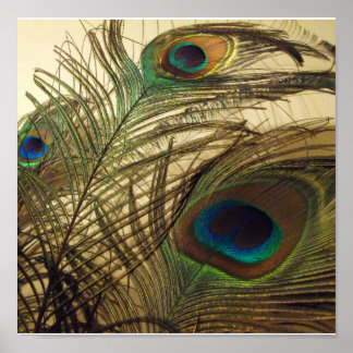 Pôster Penas de cascos