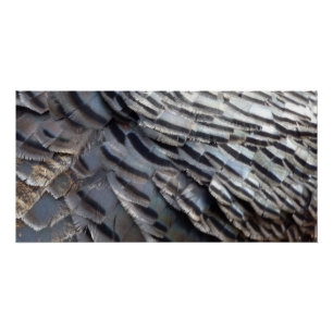 Pôster Penas de Peru Selvagem II Design Abstrato da Natur