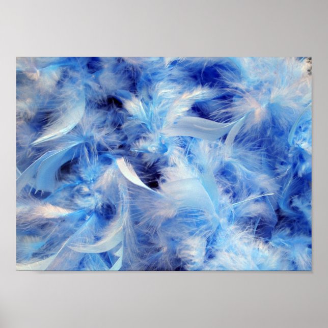 Pôster Penas Fluffy (Frente)