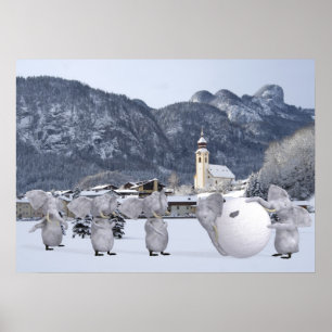 Pôster Pengphants doces