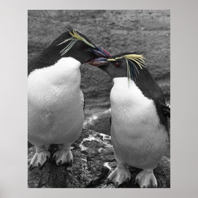 Poster Penguin Colour Splash (Frente)