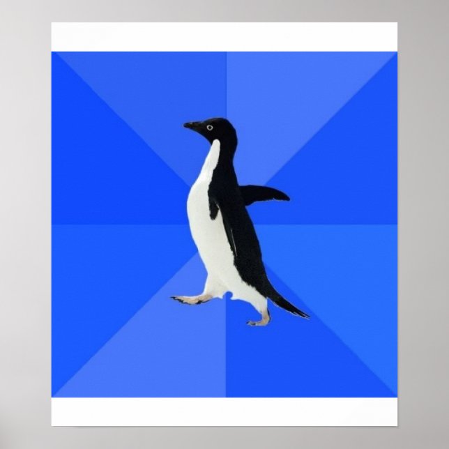 Poster Penguin Socialmente Awkward Advice Animal Memory (Frente)