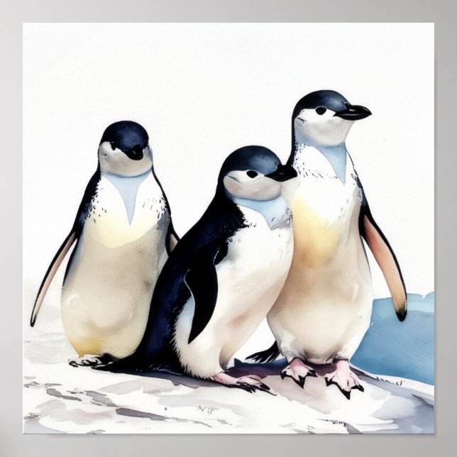 Poster Penguin Trio (Frente)