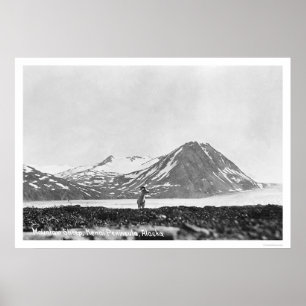 Poster Península Alaska 1912 de Kenai dos carneiros