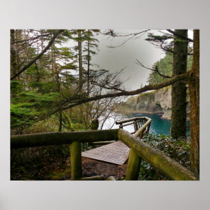 Pôster Península de Olimpiadas de Cape Flattery - Washin