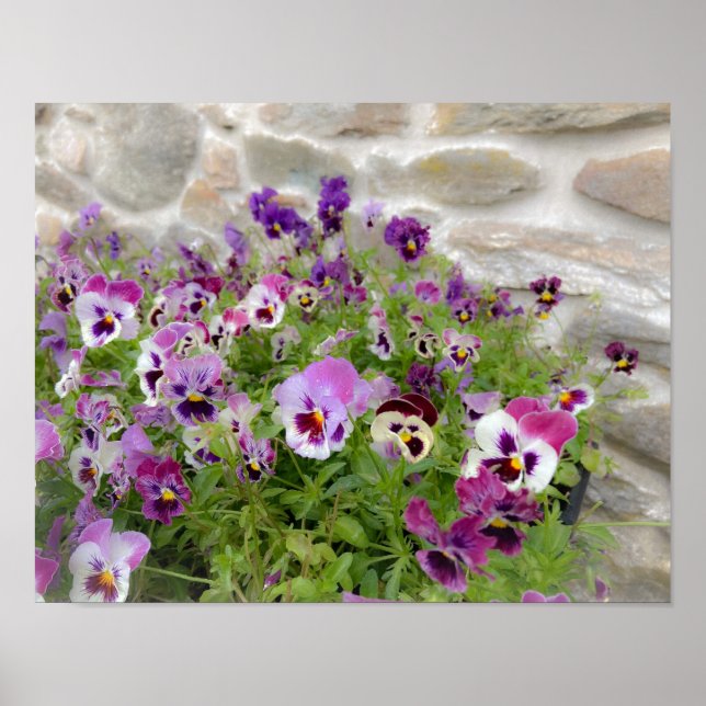 Poster Pennsylvania Flowers Print (Frente)