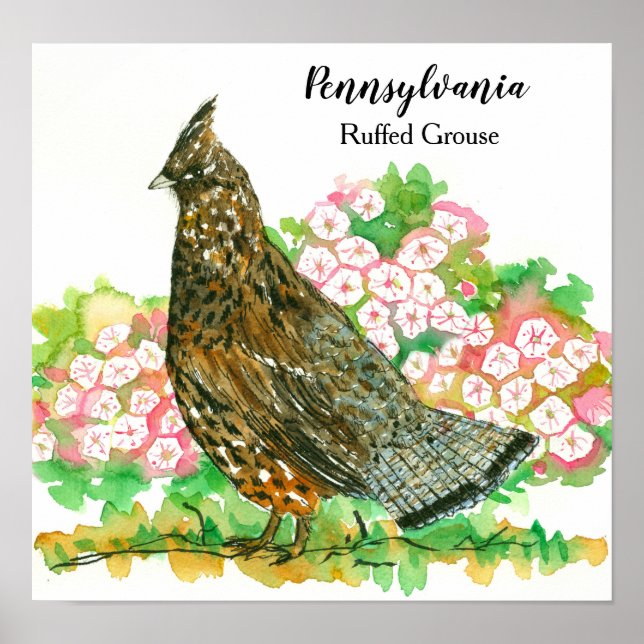 Poster Pennsylvania Ruffed Grouse Mountain Laurel (Frente)