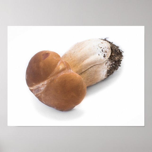 Pôster Penny bun (Frente)