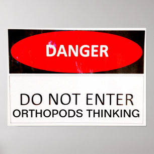PÔSTER PENSAMENTO DO PERIGO ORTHOPODS