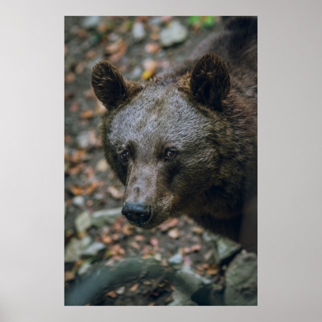 POSTER PENSAMENTOS BARATOS (Frente)