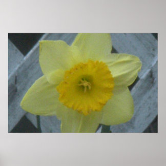 Poster Pense na Primavera!