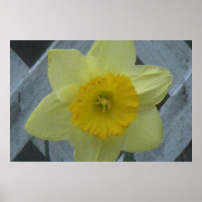 Poster Pense na Primavera! (Frente)
