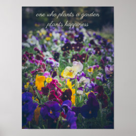 Poster Pensées coloridas em flor no jardim rural