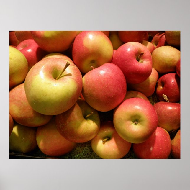 Pôster Pensilvânia Apple Poster, 30,67" X 23" (Frente)
