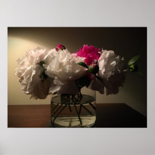 Poster Peony,
