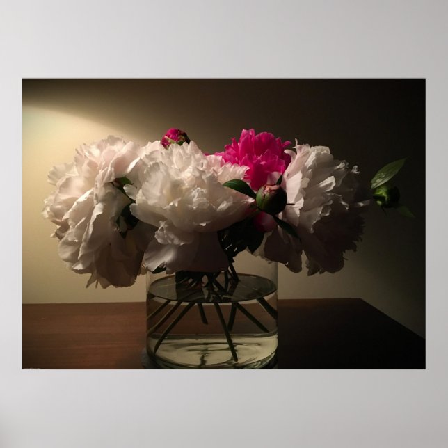 Poster Peony, (Frente)