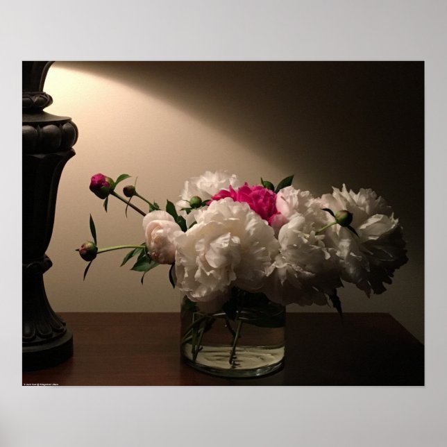 Poster Peony, (Frente)