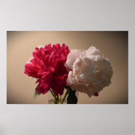 Poster Peony,