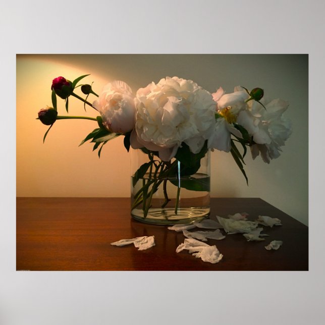 Poster Peony, (Frente)