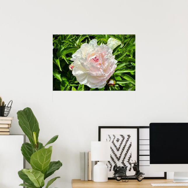 Poster Peony, (Escritório em casa)