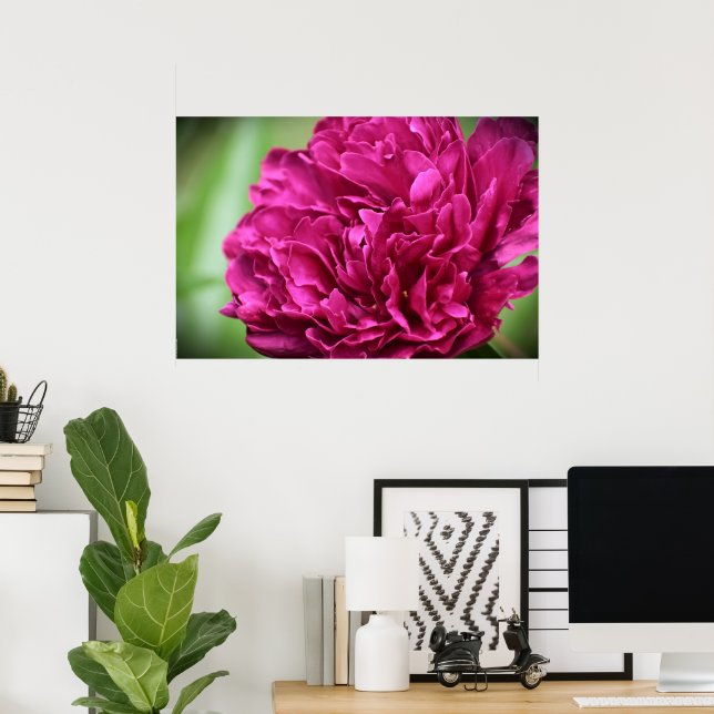 Poster Peony, (Escritório em casa)