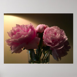 Poster Peony,