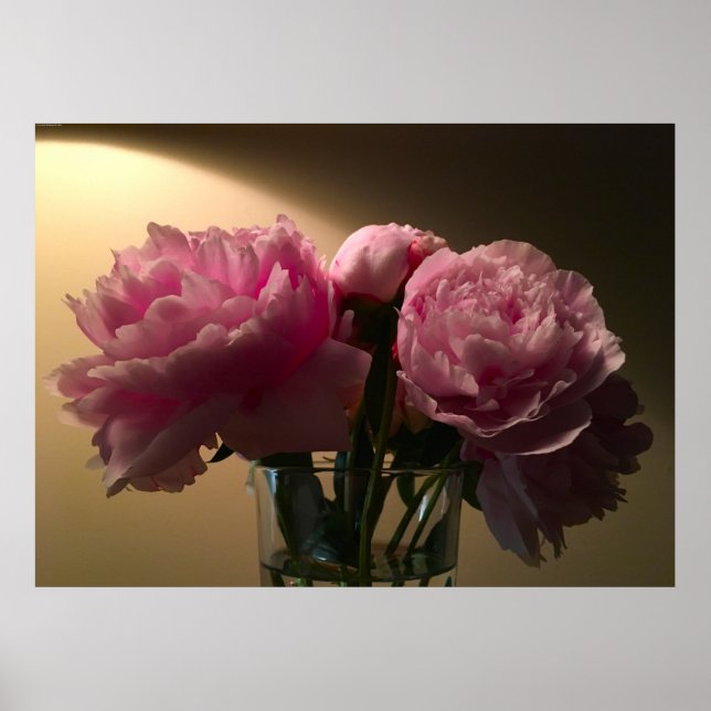Poster Peony, (Frente)