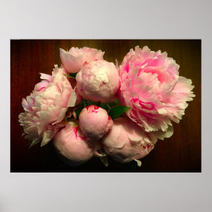 Poster Peony,