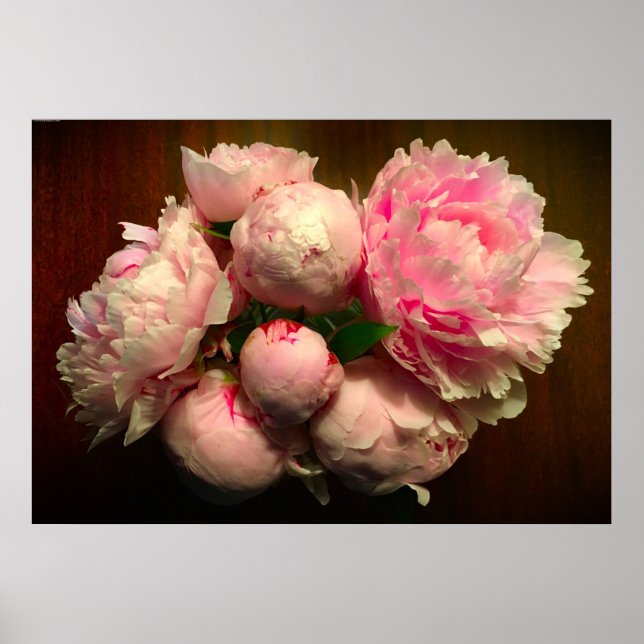 Poster Peony, (Frente)
