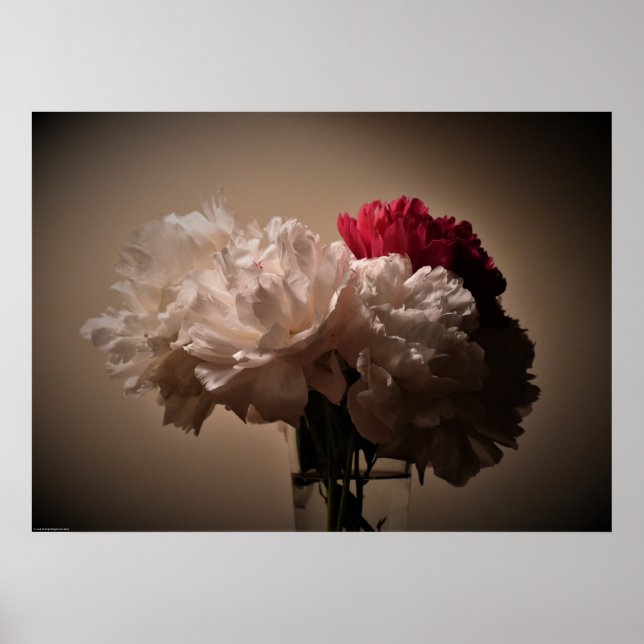 Poster Peony, (Frente)