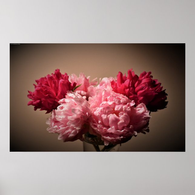 Poster Peony, (Frente)