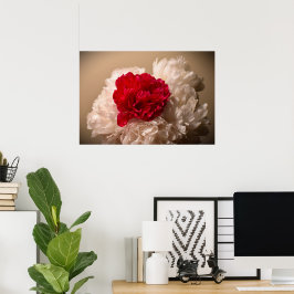 Poster Peony,