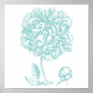 Poster Peony Blue Green