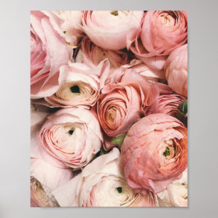 Poster Peony, blush print, pink flower photography,