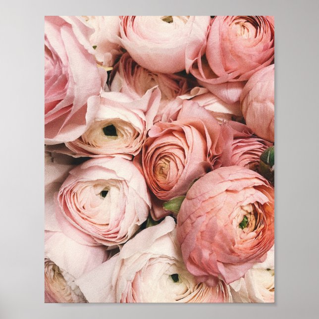 Poster Peony, blush print, pink flower photography, (Frente)