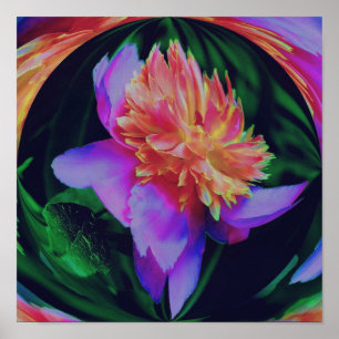 Poster Peony Flower Energy Abstrato