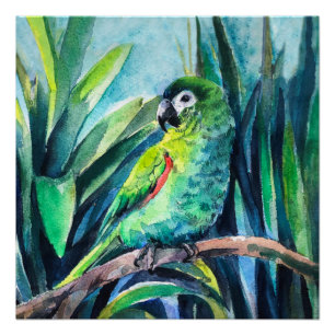 Pôster Pequena arara verde