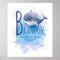 Pequena Baleia Azul Oceano Bebê e Nascentes