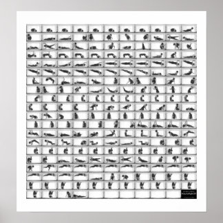 Poster Pequena Facilidade