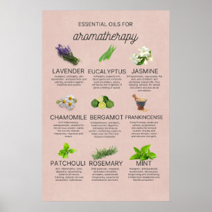 Poster Pequeña guía de azeites esenciales en español